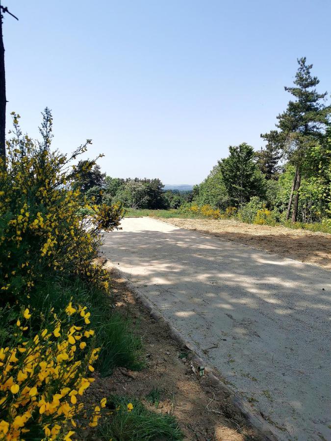 Chez Marius Villa Saint-Agrève Exteriör bild